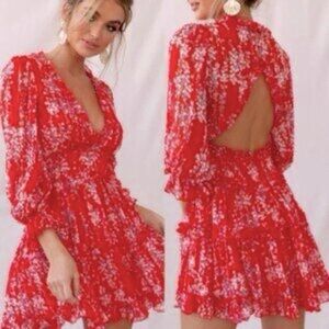 Angel Biba,Frilled,Gauzy,Open-Back Dress,Lined,Excellent Condition,Size Small